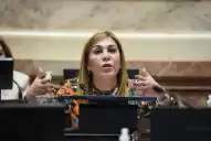 Debate por la nueva ley de biocombustibles en el Senado: No podemos permitir que se dilate más el tema