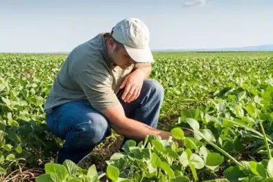 El valor de los profesionales agropecuarios
