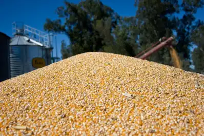 Los problemas que complican al campo tucumano