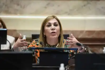 Debate por la nueva ley de biocombustibles en el Senado: No podemos permitir que se dilate más el tema