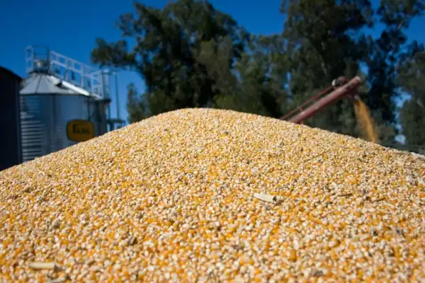 Los problemas que complican al campo tucumano