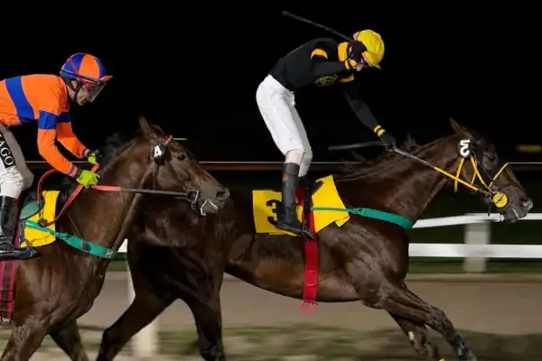 Turf: Mock Joy se escapó justo a tiempo para estirar la racha