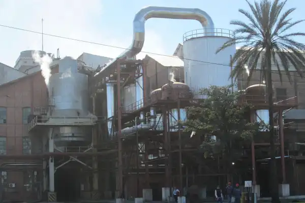 Tucumán, Salta y Jujuy llevan moliendo alrededor de 10 millones de toneladas de caña bruta