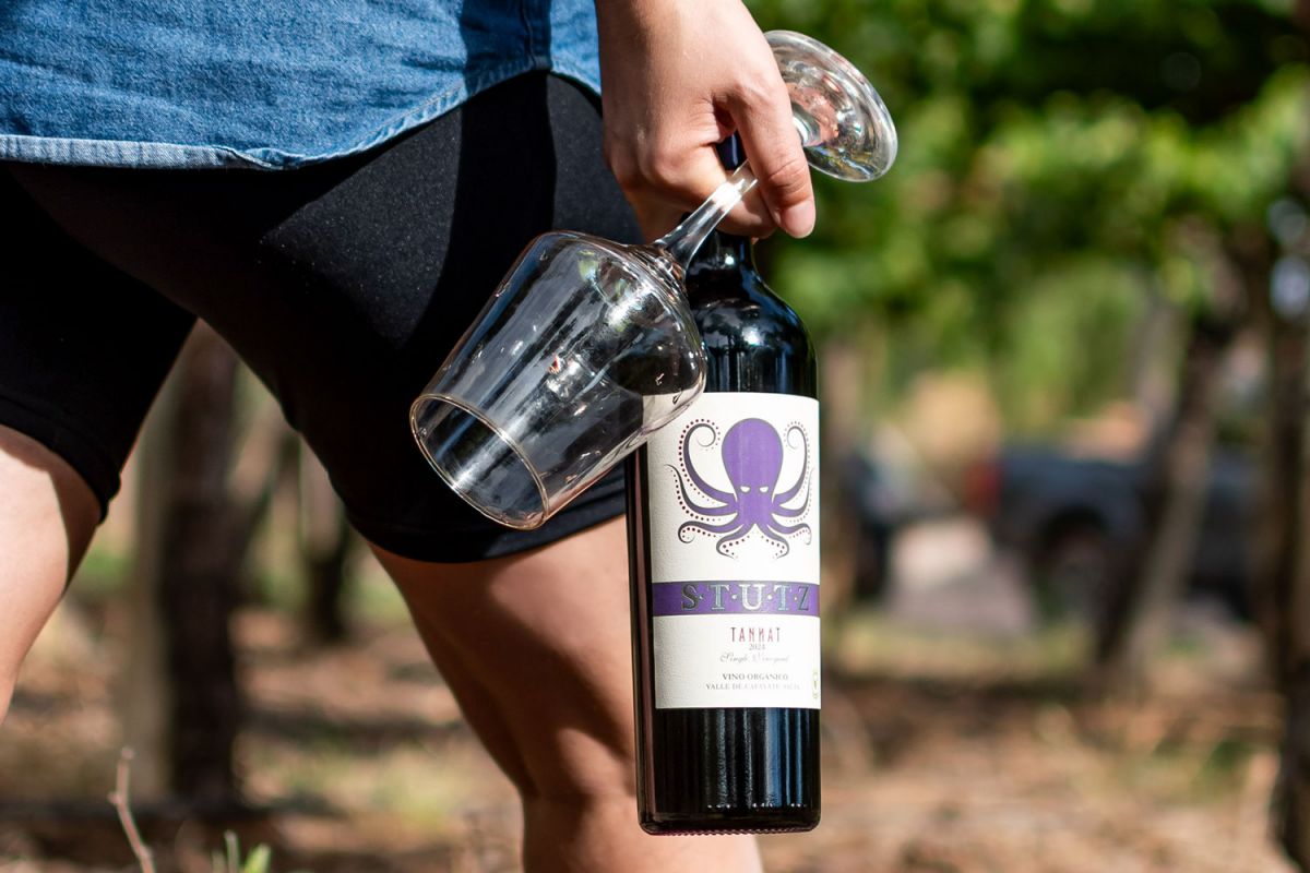 La Casa Soria, un lugar de encuentros y brindis con los mejores vinos de los Valles Calchaquíes