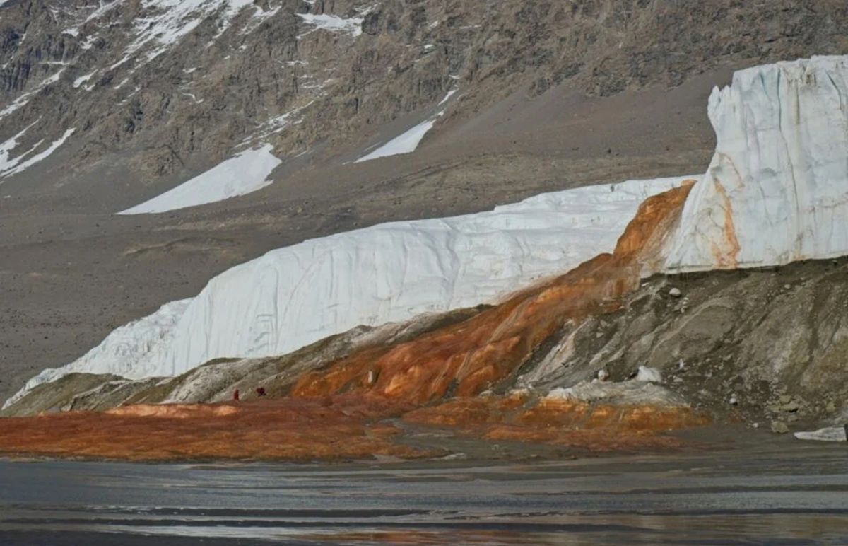 Las Cataratas de Sangre, un accidente geográfico del glaciar Taylor en la Antártida, donde emerge salmuera subglacial rica en hierro, creando un llamativo flujo rojo que desemboca en el lóbulo oeste proglacial del lago Bonney. © Bryan Minnea/Gizmodo