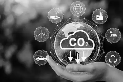 Los bonos de carbono: ¿cómo aprovechar esa política?