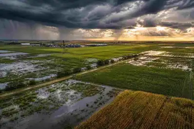 El Niño romperá el récord de temperaturas en primavera: qué anticipan las estimaciones de agosto