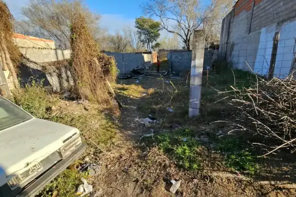 El duro relato de la madre del niño atacado por un pitbull en Córdoba