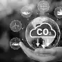 Los bonos de carbono: ¿cómo aprovechar esa política?