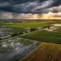 El Niño romperá el récord de temperaturas en primavera: qué anticipan las estimaciones de agosto