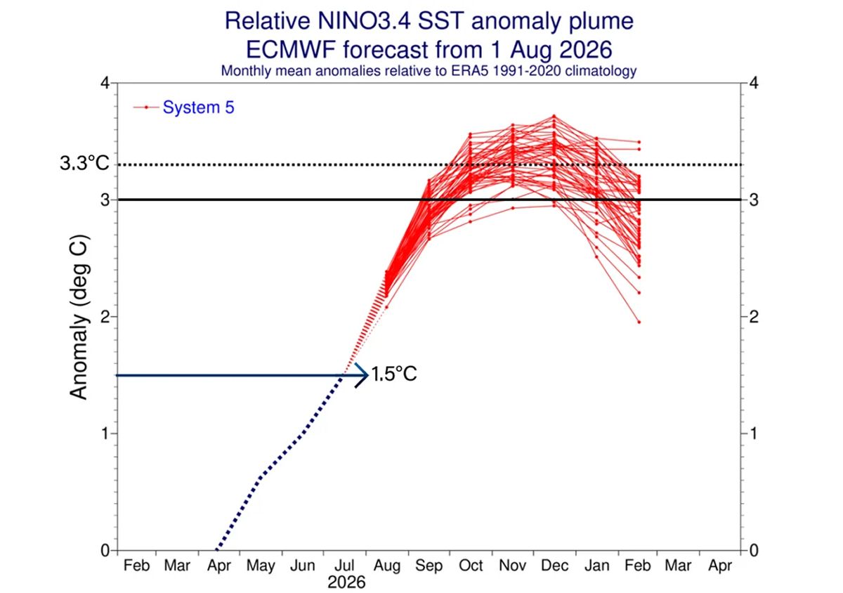 El Niño romperá el récord de temperaturas en primavera: qué anticipan las estimaciones de agosto