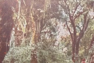 Recuerdos fotográficos: la opulencia de la selva de San Javier