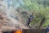 Tala ilegal en Burruyacú: buscan a los responsables