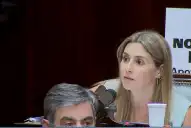 Cada voto se pagó a gobernadores en una maniobra ilegal, afirmó la diputada Pagano