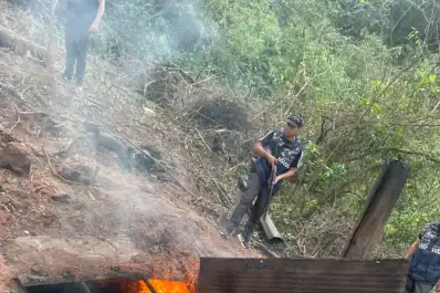 Tala ilegal en Burruyacú: buscan a los responsables