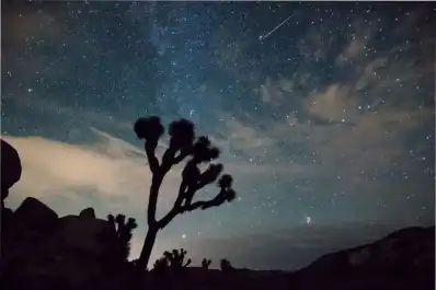 Lluvia de meteoros Perseidas 2026: a qué hora verla hoy y cómo disfrutar del espectáculo