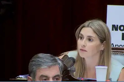 Cada voto se pagó a gobernadores en una maniobra ilegal, afirmó la diputada Pagano
