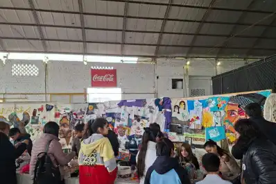 Un robot para separar residuos, juegos de matemática y un estudio sobre las yungas: los proyectos que compiten en la Feria de Ciencias