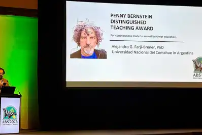 Estudia hormigas y acaba de hacer historia: un científico del Conicet fue premiado a nivel internacional