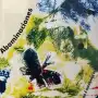 Dos novedades de Gerania y la reedición de “Abominaciones”
