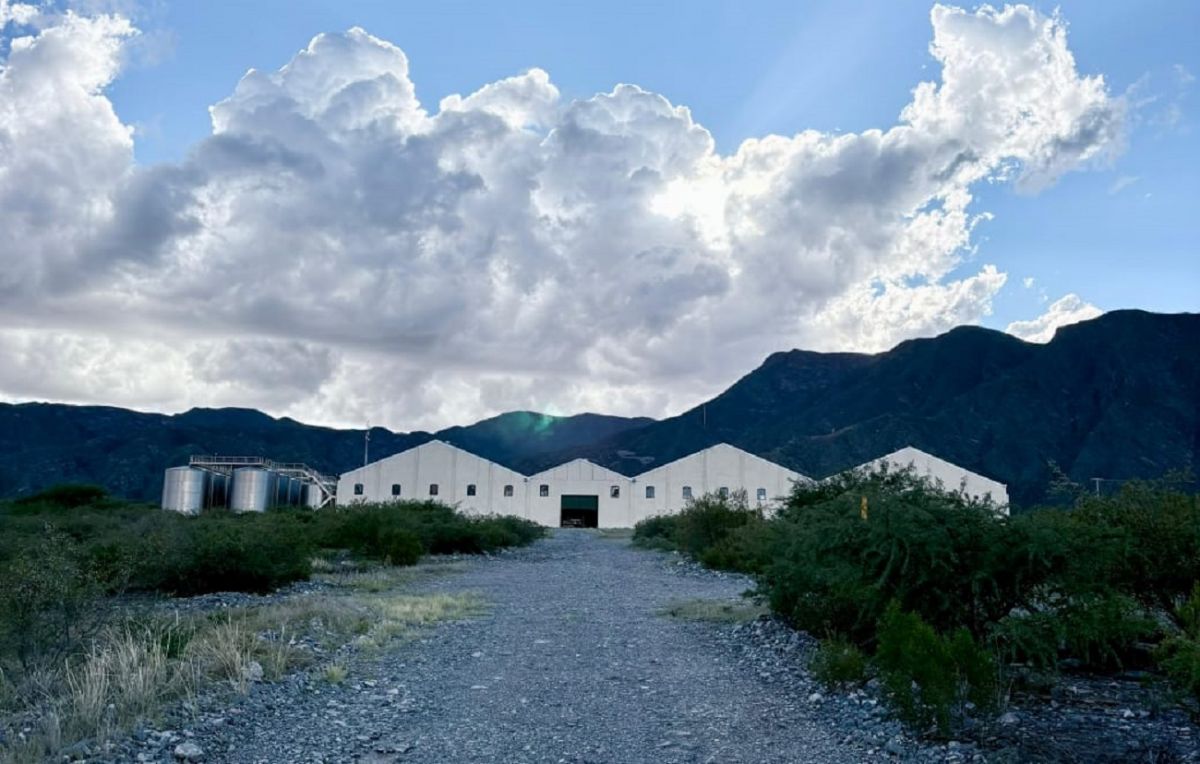 PRODUCCIÓN. La bodega del Grupo Peñaflor es una de las más importantes de la región. 