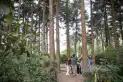 Qué hacer en Yerba Buena este fin de semana largo: dos propuestas gratuitas para toda la familia