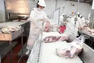 Estados Unidos retiró del mercado 13,4 toneladas de carne vacuna argentina