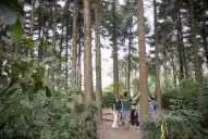 Qué hacer en Yerba Buena este fin de semana largo: dos propuestas gratuitas para toda la familia