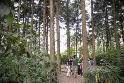 Qué hacer en Yerba Buena este fin de semana largo: dos propuestas gratuitas para toda la familia