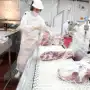 Estados Unidos retiró del mercado 13,4 toneladas de carne vacuna argentina