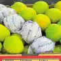 Se abrió el mercado panameño para limón, naranja y mandarina argentinos