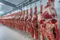 Entre enero y junio se exportaron 411.705 toneladas de carne bovina
