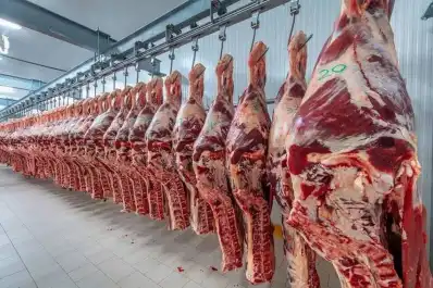 Entre enero y junio se exportaron 411.705 toneladas de carne bovina
