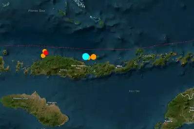 Un terremoto de magnitud 7,7 sacudió Indonesia: hay al menos 40 muertos y activaron una alerta por tsunami