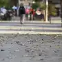 Conocé qué día empezará a ceder el frío y volverán las temperaturas agradables a Tucumán