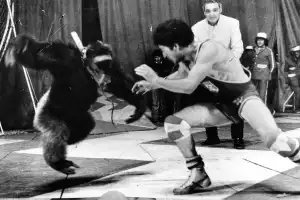Recuerdos fotográficos: 1986. El empate entre el luchador tucumano y el gorila invencible