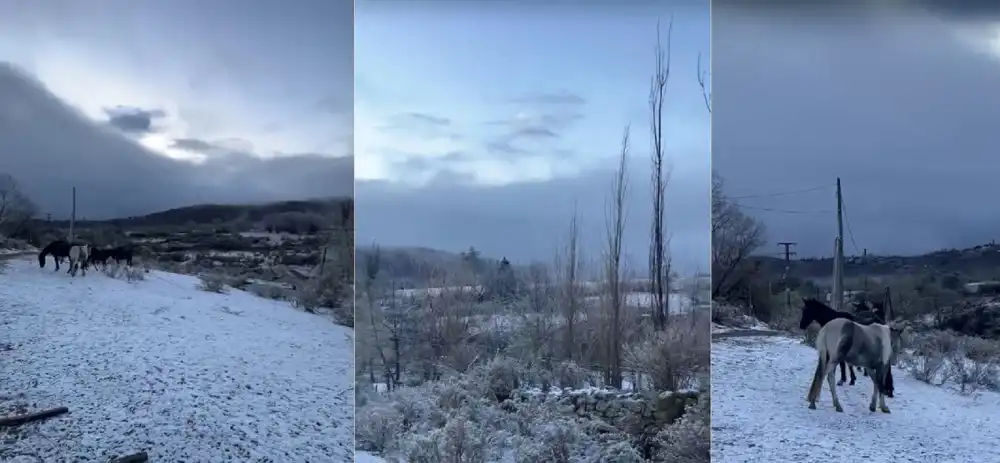 Zona de Las Carreras cubierta de nieve