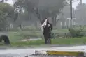 ¿Cuándo es la tormenta de Santa Rosa y cuáles son las provincias que serían afectadas?