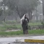 ¿Cuándo es la tormenta de Santa Rosa y cuáles son las provincias que serían afectadas?
