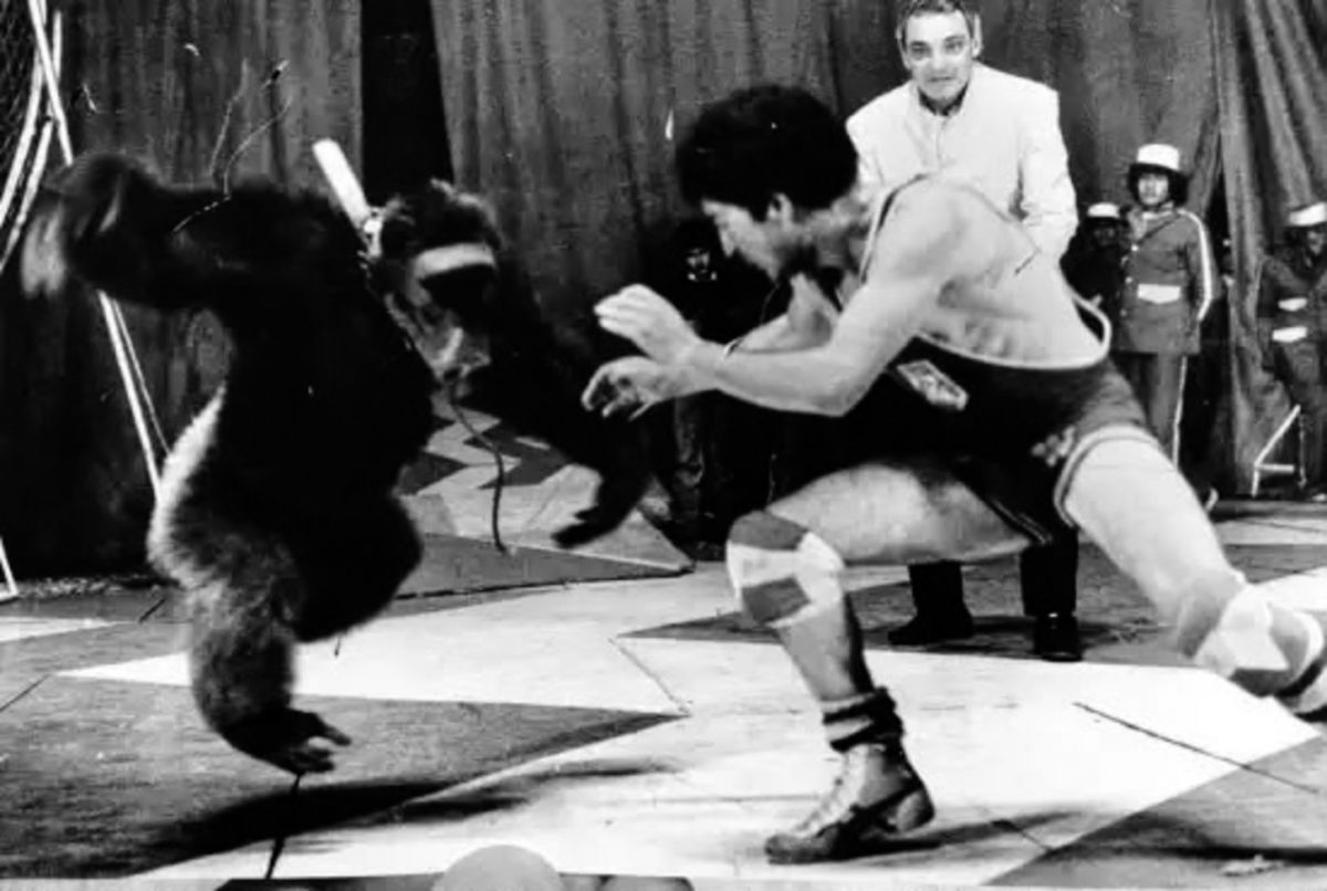Recuerdos fotográficos: 1973-1985. El número del contorsionista “insólito”