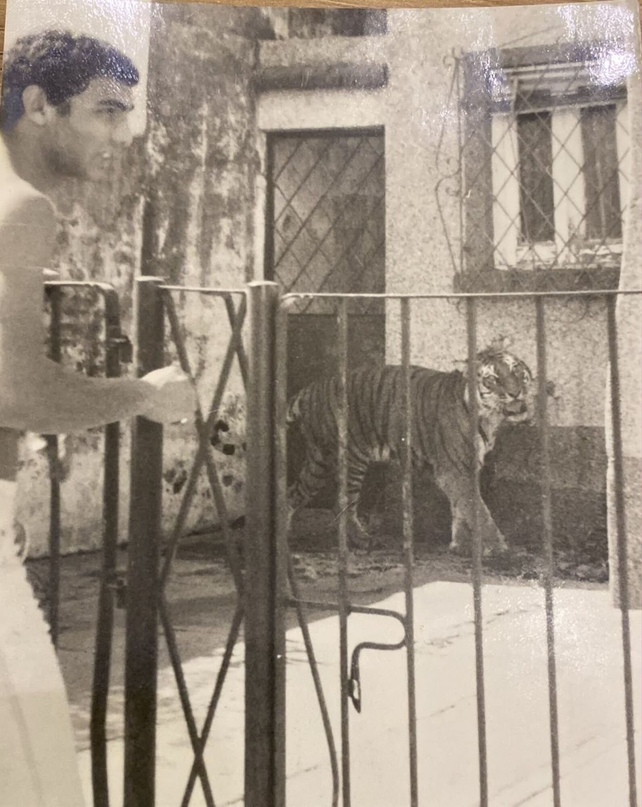 Recuerdos fotográficos: 1990. Dos días de sustos con tigres en Villa Amalia