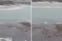 Sorpresa en Punta Mogotes: ¿qué es la “isla” que apareció frente a las playas de Mar del Plata?