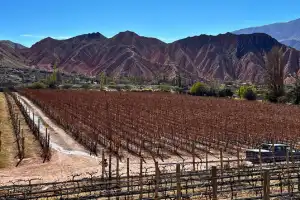 El padre soñó el vino, el hijo construyó la bodega y un enólogo supo interpretar la Quebrada de Humahuaca
