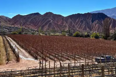 El padre soñó el vino, el hijo construyó la bodega y un enólogo supo interpretar la Quebrada de Humahuaca