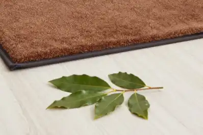 Por qué recomiendan poner una hoja de laurel bajo la alfombra durante la noche