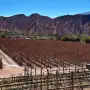 El padre soñó el vino, el hijo construyó la bodega y un enólogo supo interpretar la Quebrada de Humahuaca