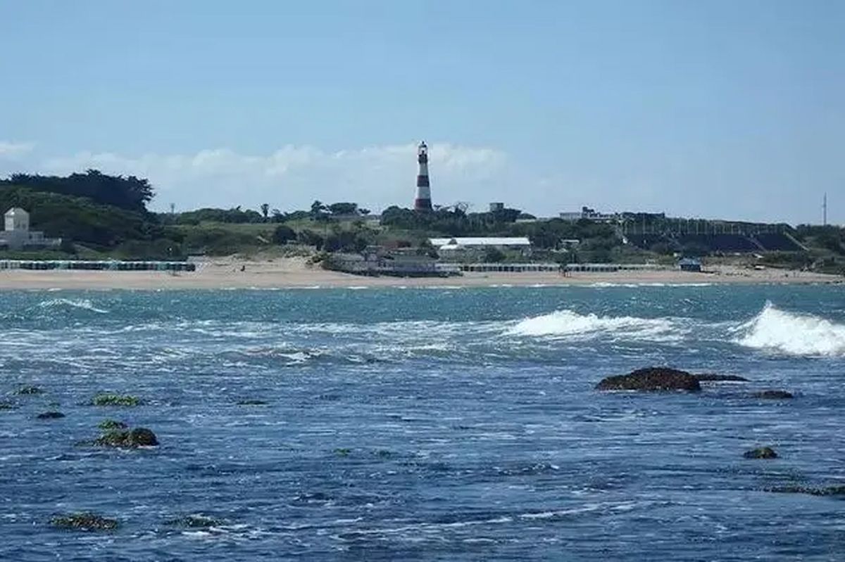 Sorpresa en Punta Mogotes: ¿qué es la “isla” que apareció frente a las playas de Mar del Plata?