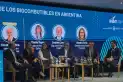 Cumbre de Bioetanol: piden que se apure el debate en el Congreso sobre la suba del corte del alcohol en naftas
