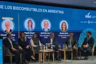 Cumbre de Bioetanol: piden que se apure el debate en el Congreso sobre la suba del corte del alcohol en naftas