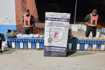 Encomiendas narco: secuestran 18 kilos de marihuana enviados desde Salta